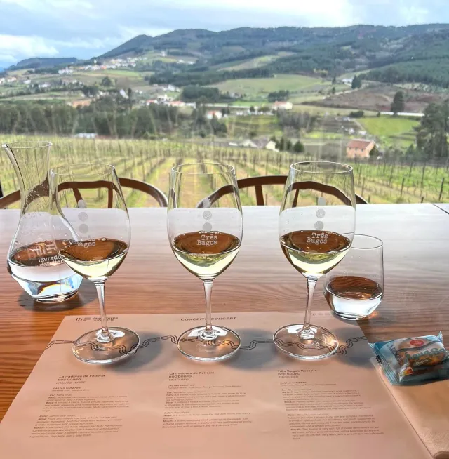 Lavradores de Feitoria Highland vinsmaking 4 hvite