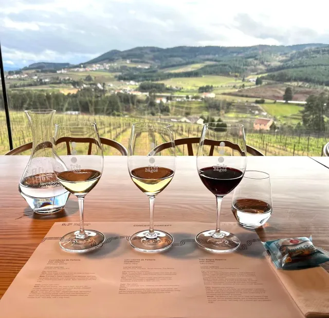 Lavradores de Feitoria Identity vinsmaking 3 viner Lavra