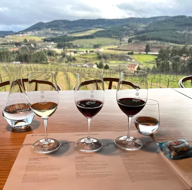 Lavradores de Feitoria Wine Tasting Concept vinsmaking 3 viner