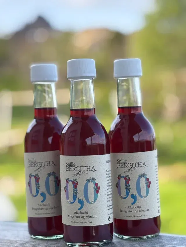 Snille Bergitha fruktvin bringebær 0,5l økologisk