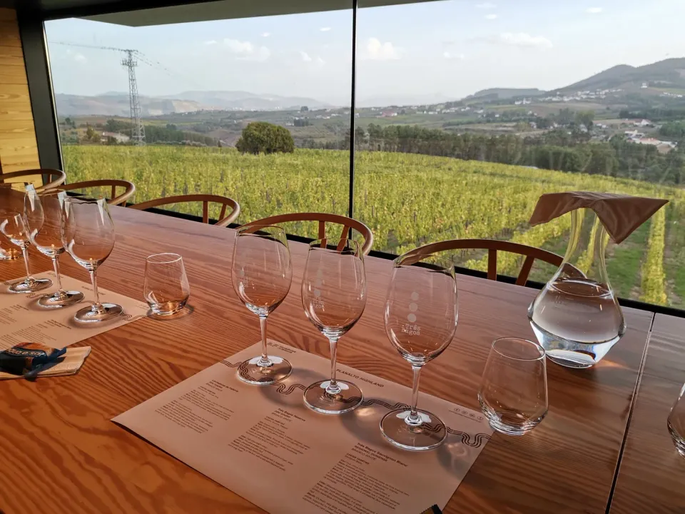 Lavradores de Feitoria Planalto omvisning med vinsmaking 4 hvite