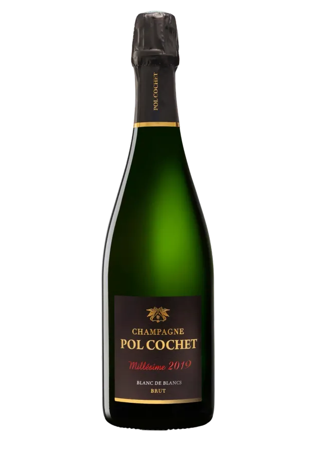 Pol Cochet Millésimé 2019 Blanc de Blancs champagne