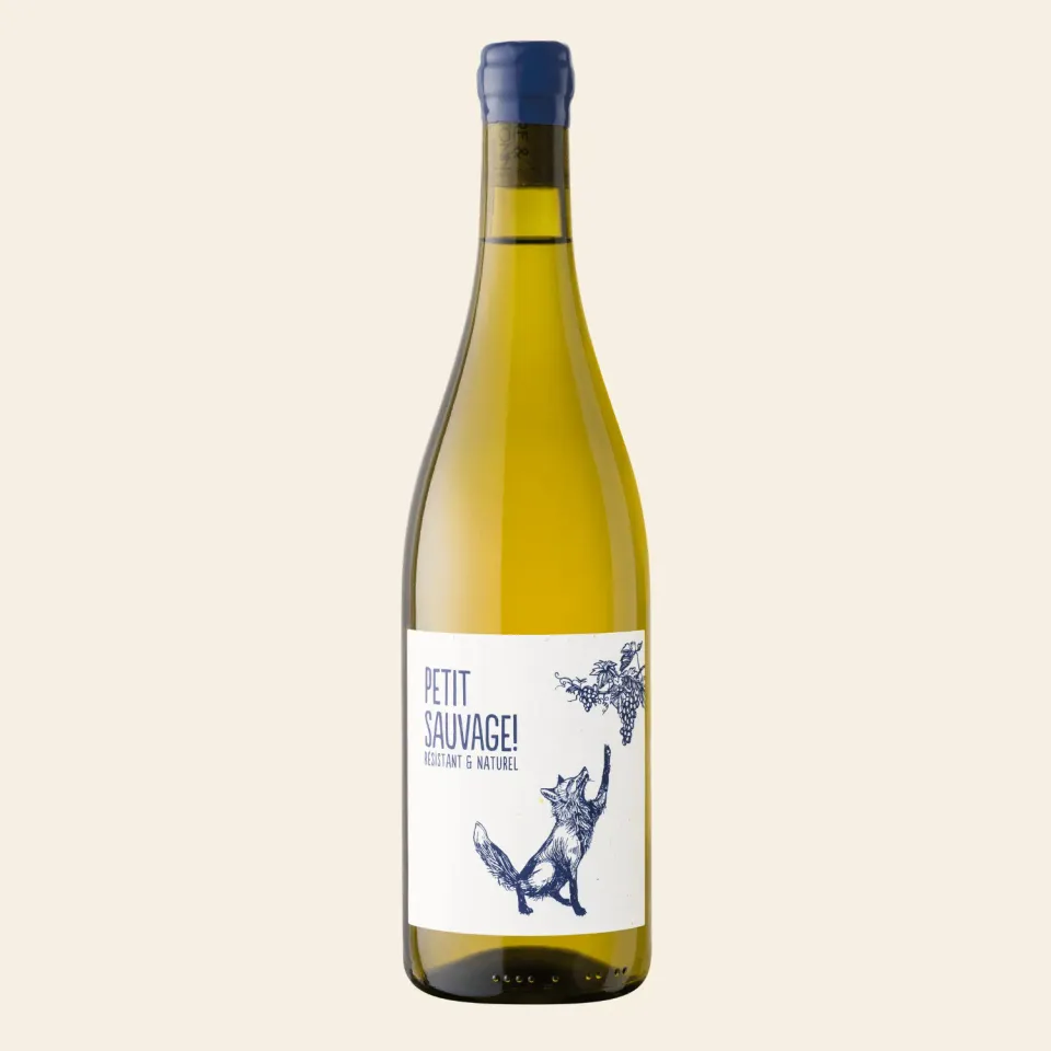 Pierre & Antonin Petit Sauvage hvitvin tørr økologisk