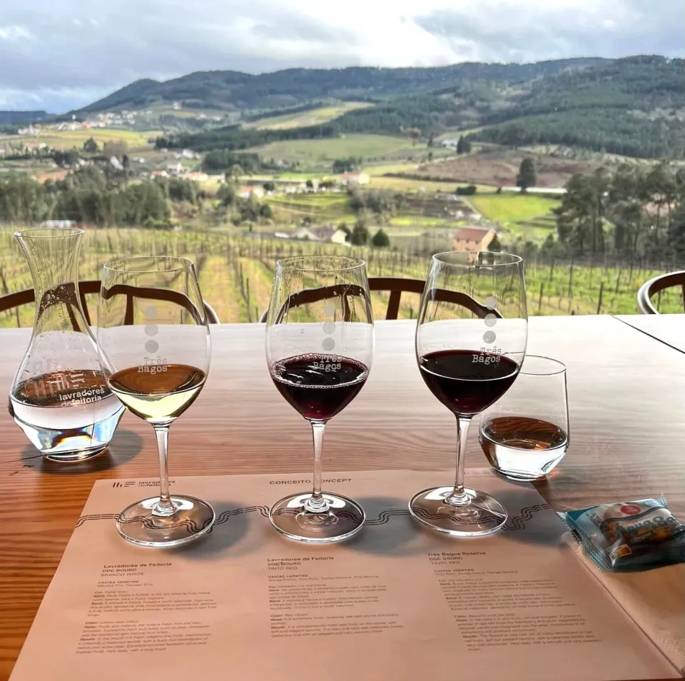 Lavradores de Feitoria Terroir vinsmaking 3 viner tørr
