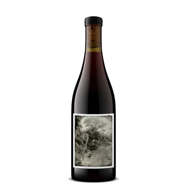 Sandhi White Buffalo Land Trust Pinot Noir rødvin 2024