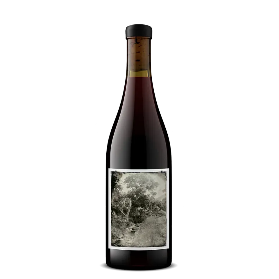 Sandhi White Buffalo Land Trust Pinot Noir rødvin 2024
