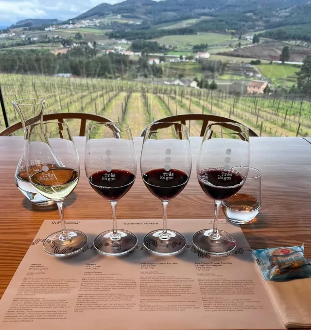 Lavradores de Feitoria Soberbo vinsmaking 4 viner