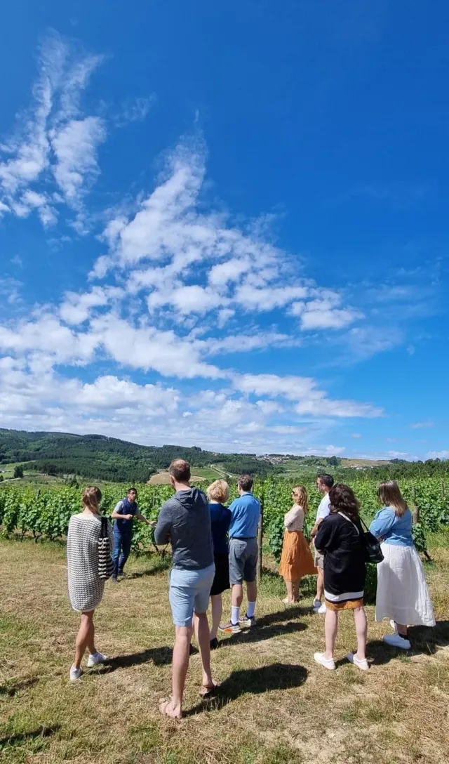 Lavradores de Feitoria guidet vinomvisning Douro hverdager