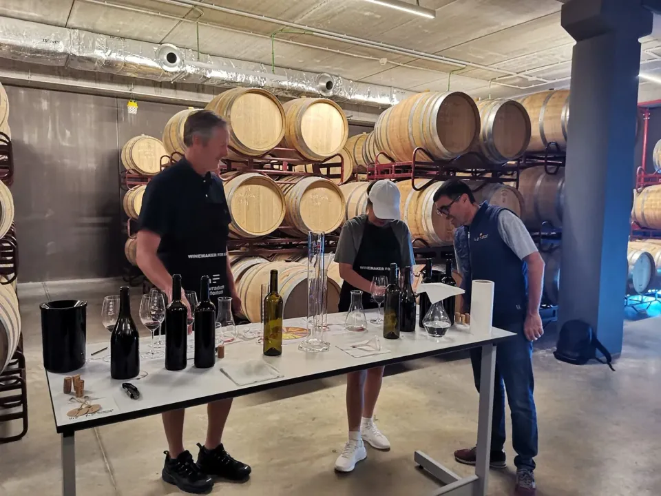Lavradores de Feitoria Winemaker for a Day vinopplevelse 2,5 timer Douro